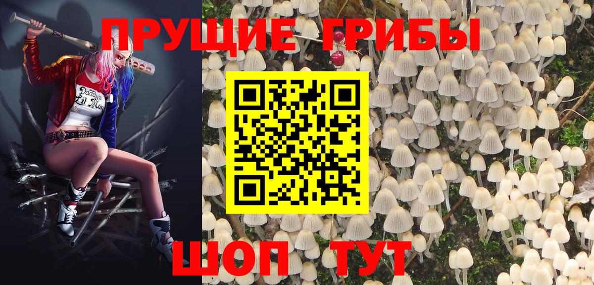 Урай  Псилоцибиновые грибы MAGIC MUSHROOMS  Псилоцибиновые грибы прущие грибы  Вход с VPN 