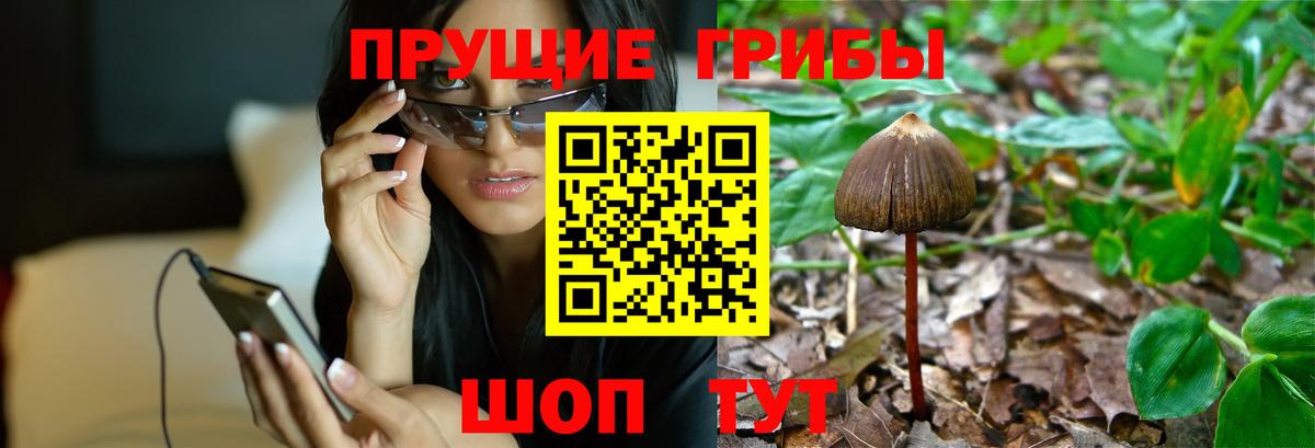 Галлюциногенные грибы MAGIC MUSHROOMS Урай
